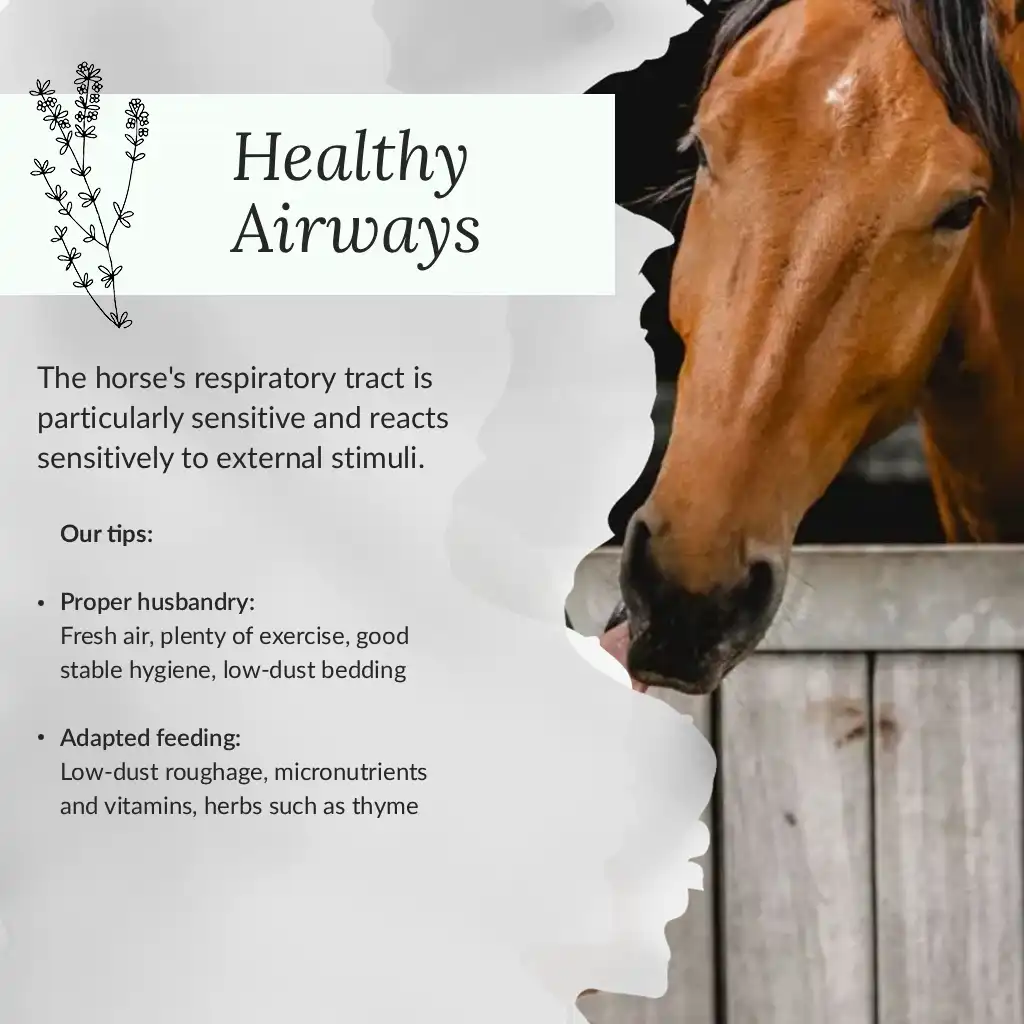 Healthy airways
